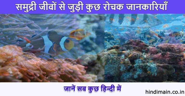 Interesting Facts about Sea Creatures in Hindi