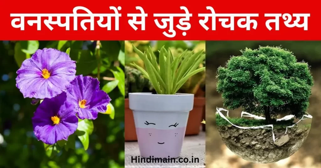 Interesting Facts About Plants in Hindi