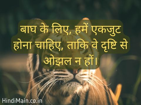 International Tiger Day Quotes in Hindi