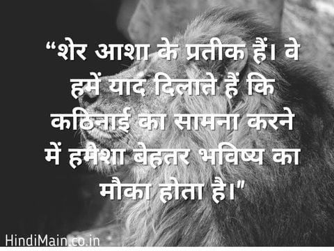 World Lion Day Quotes 