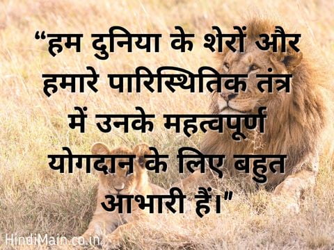 World Lion Day Quotes 