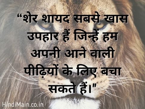World Lion Day Quotes 